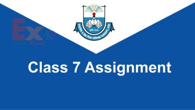 3rd Week Class 7 Assignment Answer