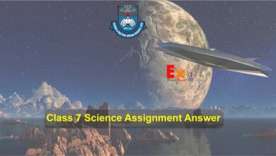 Class 7 Science Assignment Answer