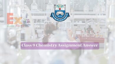 Class 9 Chemistry Assignment