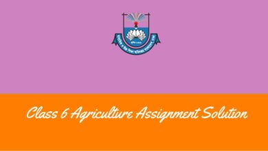 Class 6 Agriculture Assignment Answer