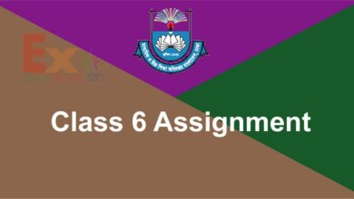 Class 6 Assignment Answer