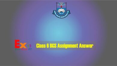 Class 6 Bangladesh and Global Studies Assignment Answer