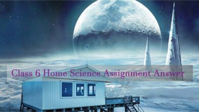 Class 6 Home Science Assignment Answer