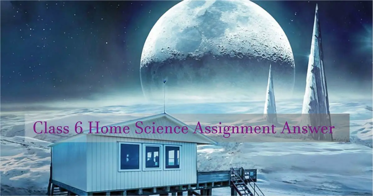 Class 6 Home Science Assignment Answer