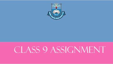 Class 9 Assignment Answer