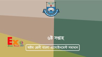 Class 8 Assignment Answer Bangla