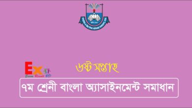 Class 7 Bangla Assignment Answer 6th Week