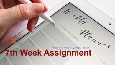 7th Week Assignment