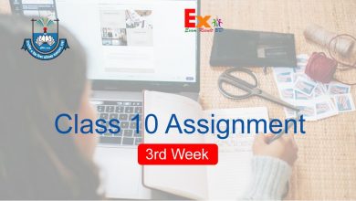 class 10 assignment 3rd week