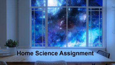 Class 7 home science assignment