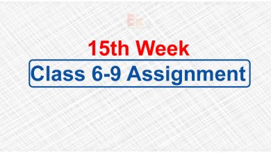 15th Week Assignment
