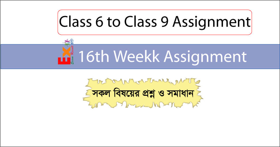 16th Week Assignment