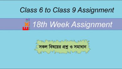 18th Week Assignment