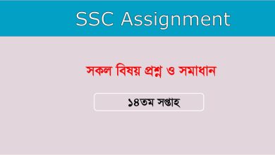 SSC 14th Week Assignment
