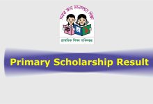 DPE Primary Scholarship Result